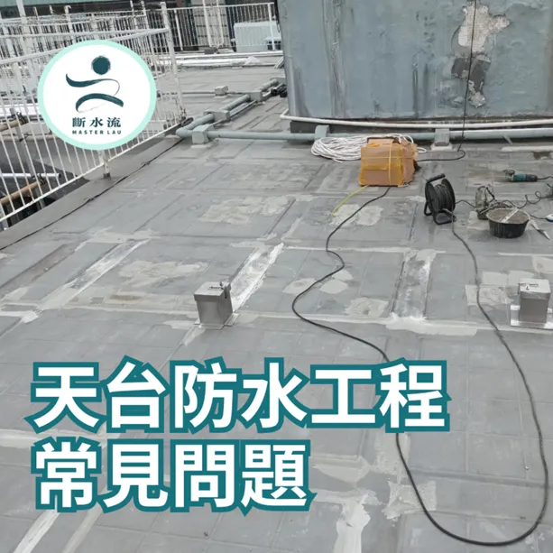 ARDEX HONG KONG LIMITED Master Lau Website maintenance