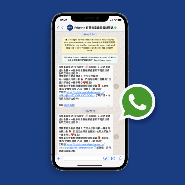 FRISO WHATSAPP MESSAGE WITH API DEVELOPMENT SERVICE