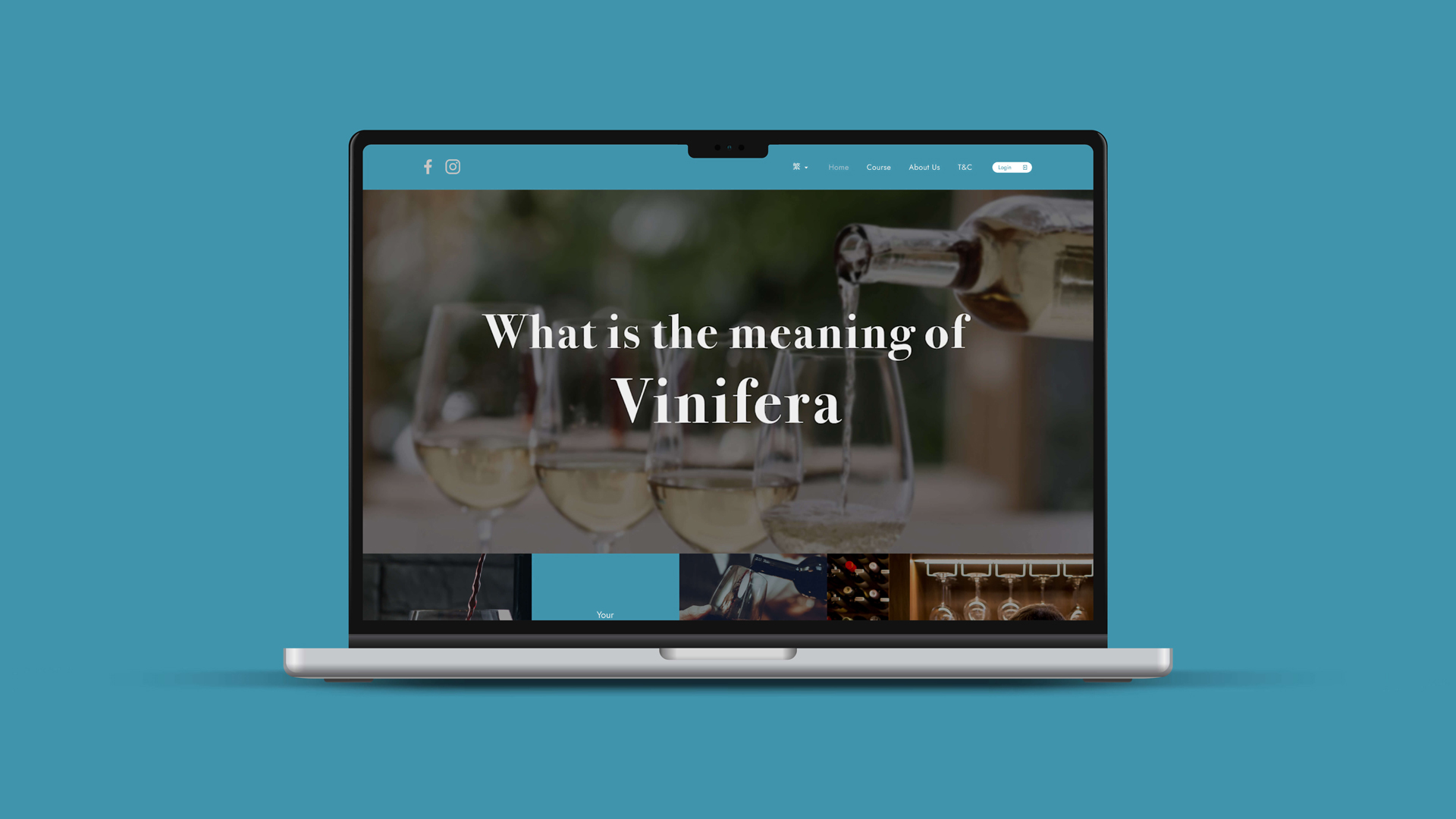 Vinifera Website Development